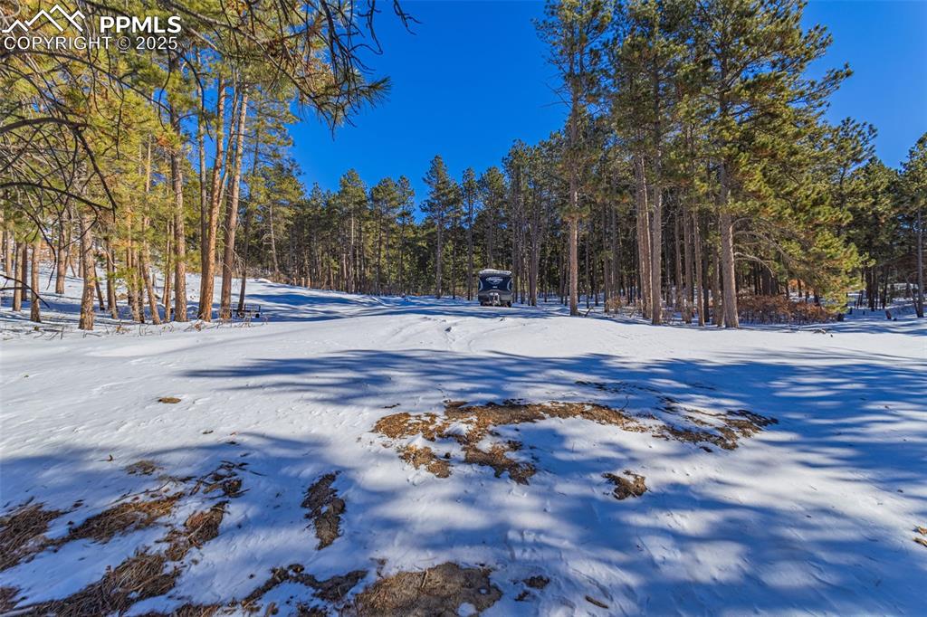 Image 29 of 33: Yard