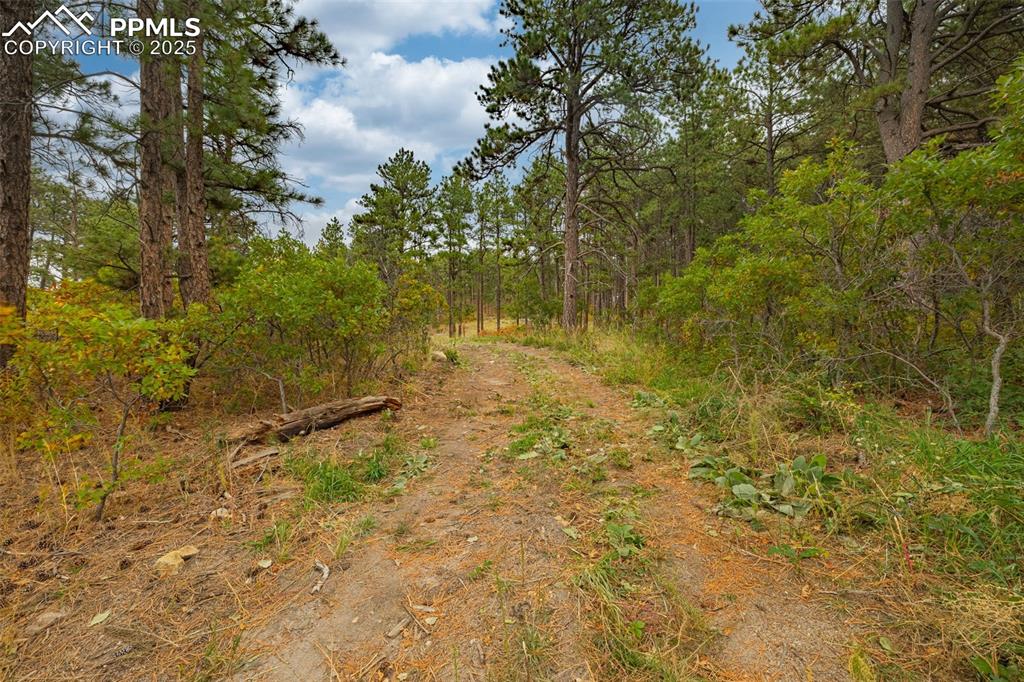 Image 3 of 33: Other