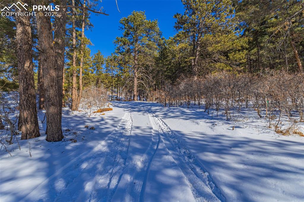 Image 30 of 33: Yard
