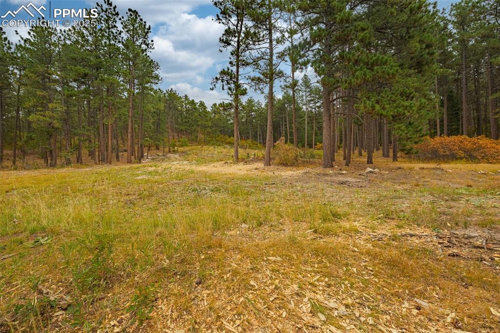 Image 5 of 33: Other