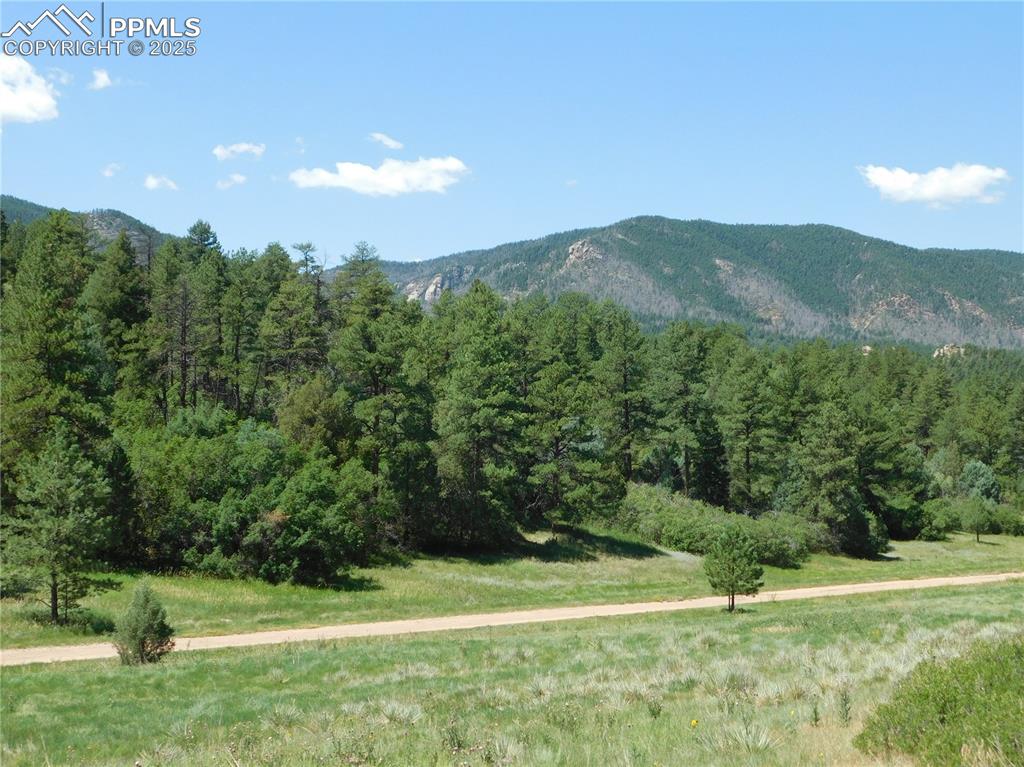 Image 10 of 39: View