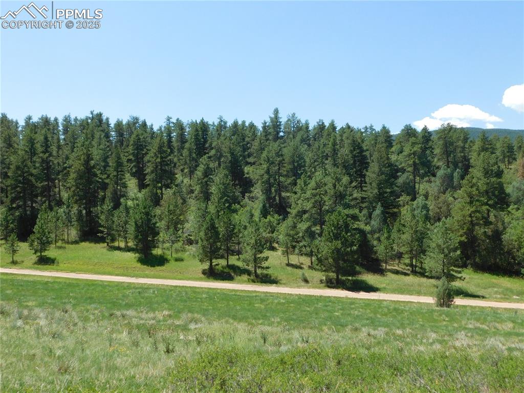 Image 11 of 39: Other