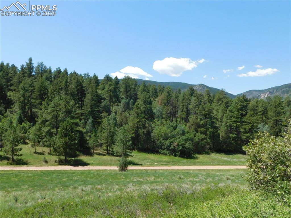 Image 12 of 39: View