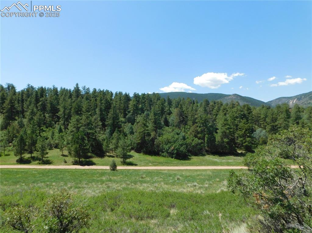 Image 13 of 39: View