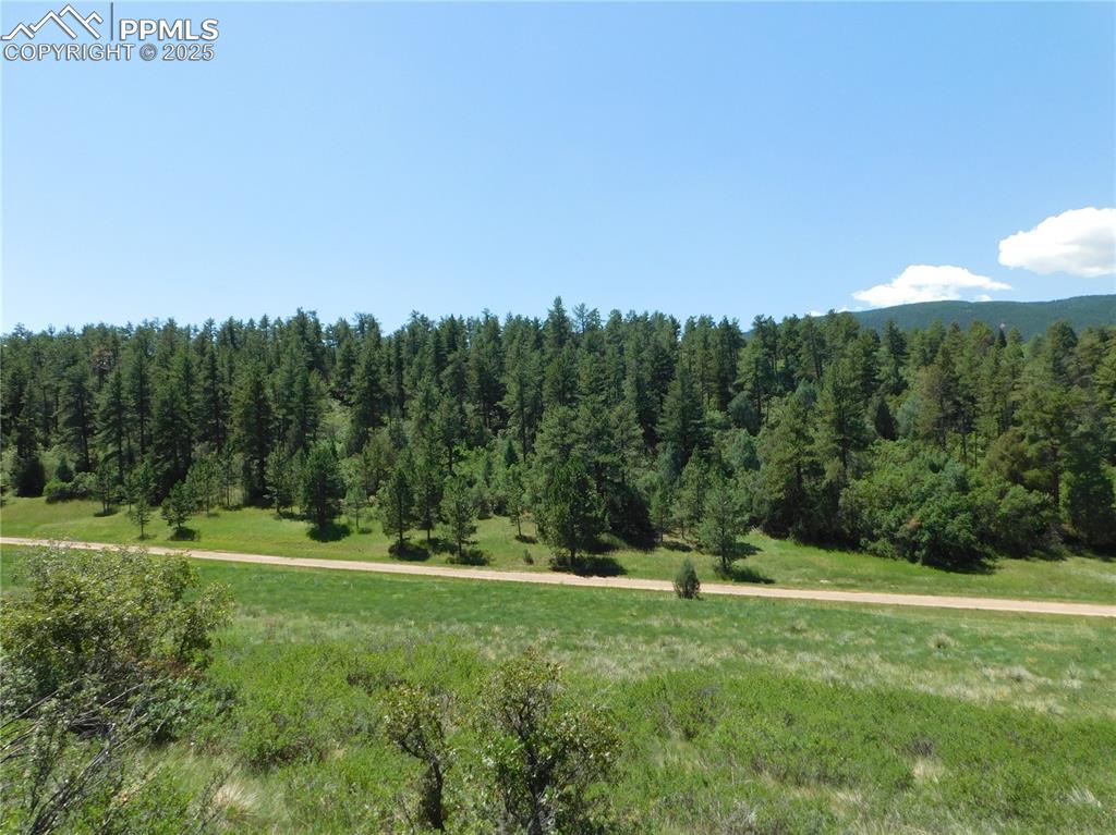 Image 14 of 39: Aerial View