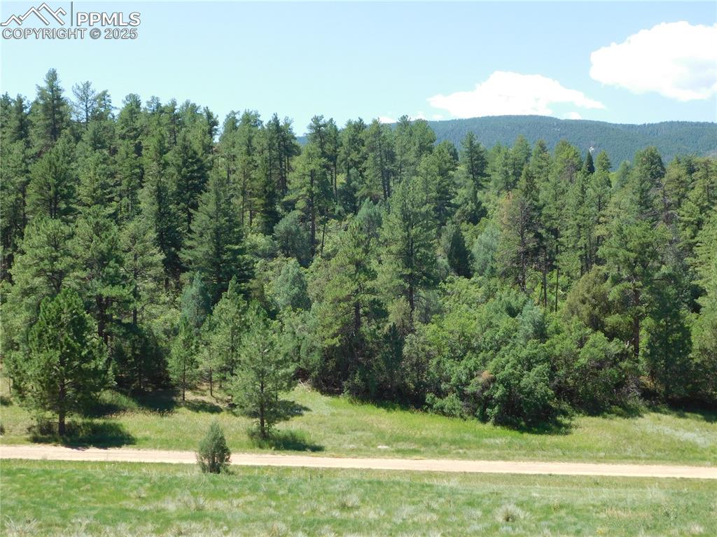 Image 15 of 39: View