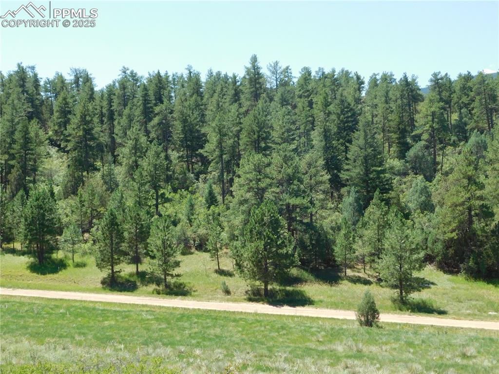 Image 16 of 39: Other