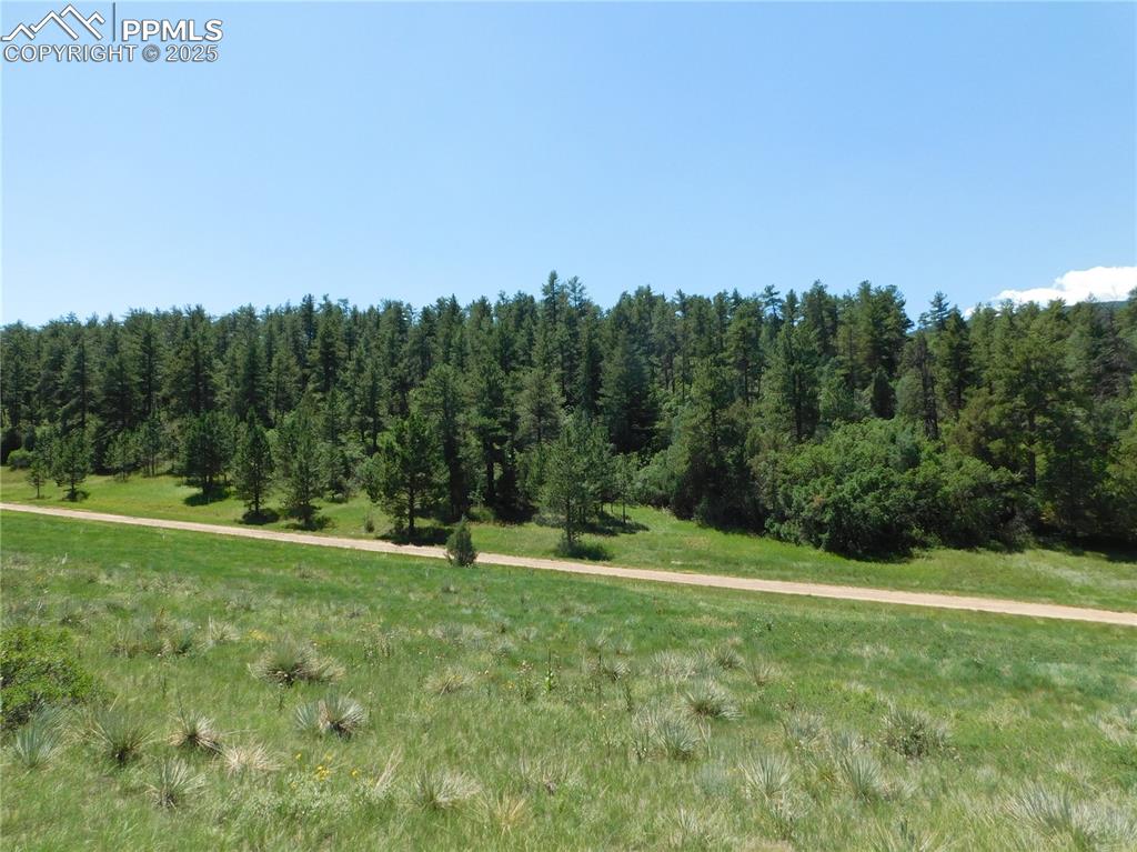 Image 17 of 39: Other