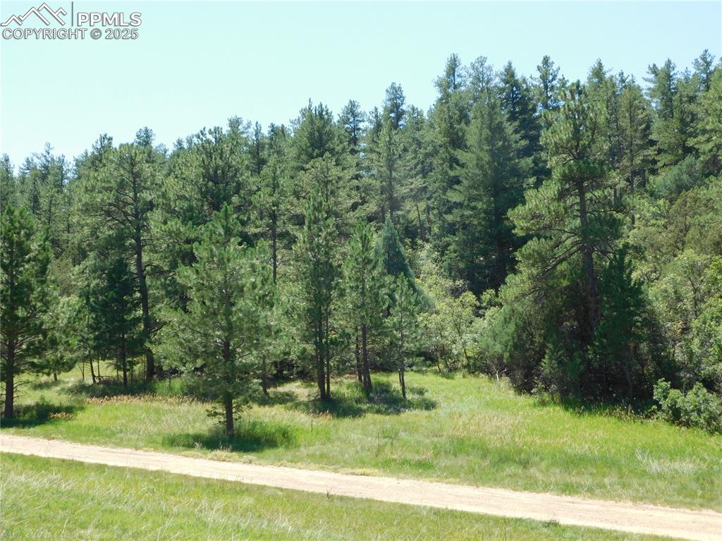 Image 19 of 39: Other