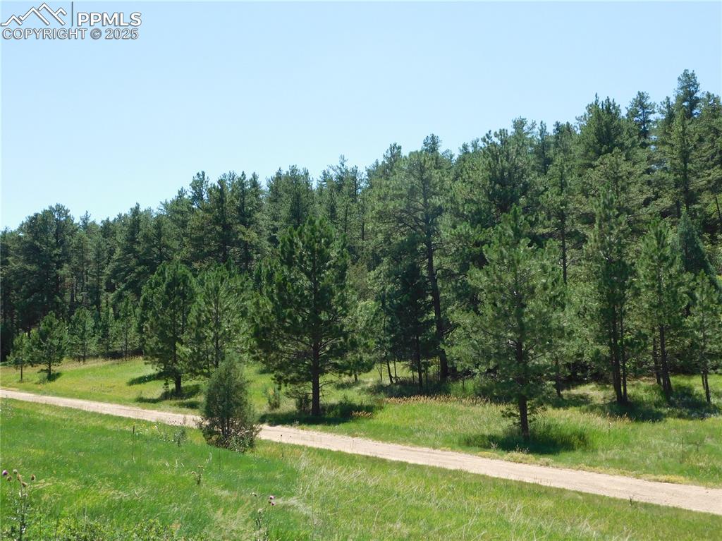 Image 20 of 39: Community