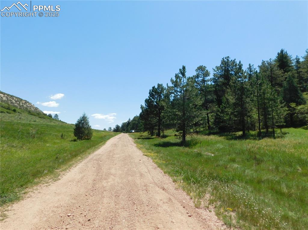 Image 21 of 39: Community