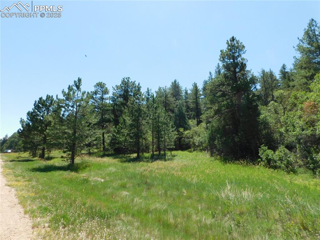 Image 22 of 39: Other