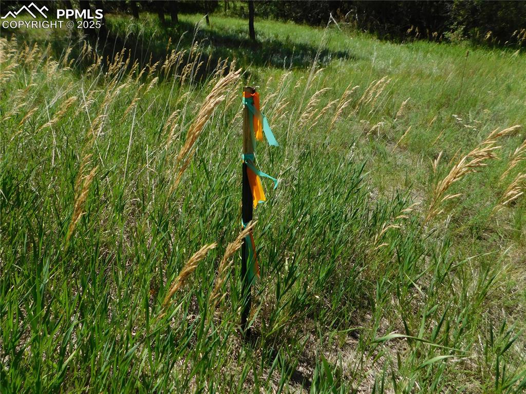 Image 23 of 39: Other