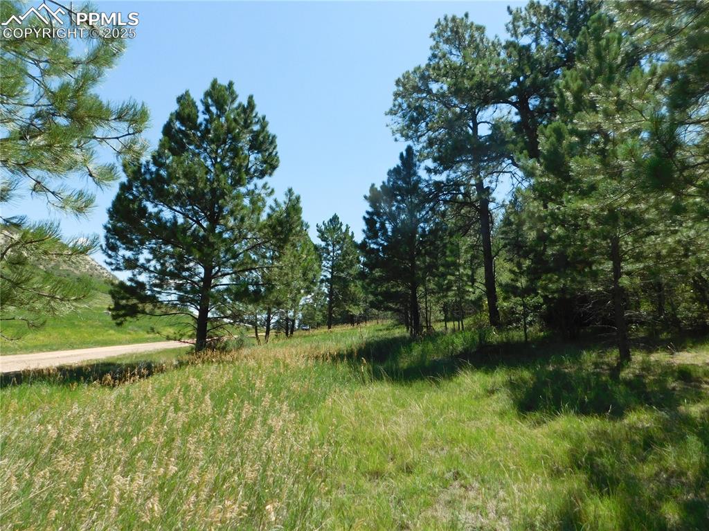 Image 24 of 39: Other