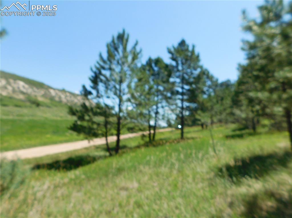 Image 26 of 39: Yard