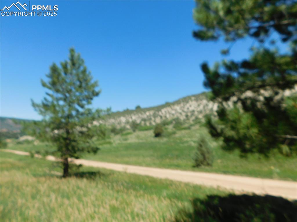 Image 27 of 39: Yard