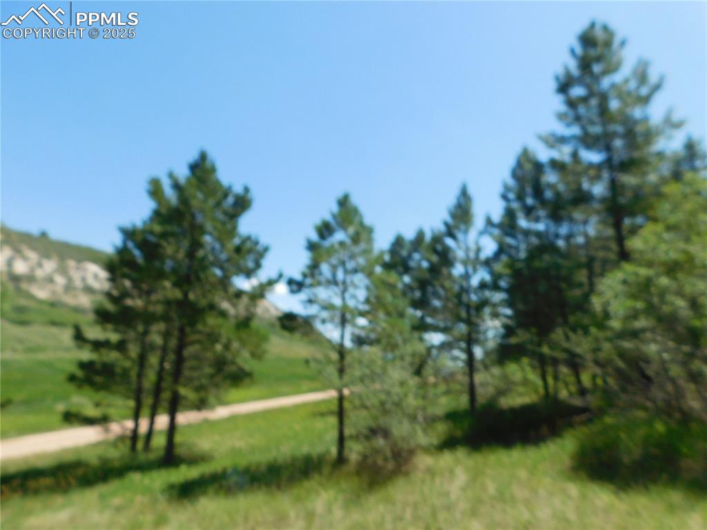 Image 29 of 39: Community