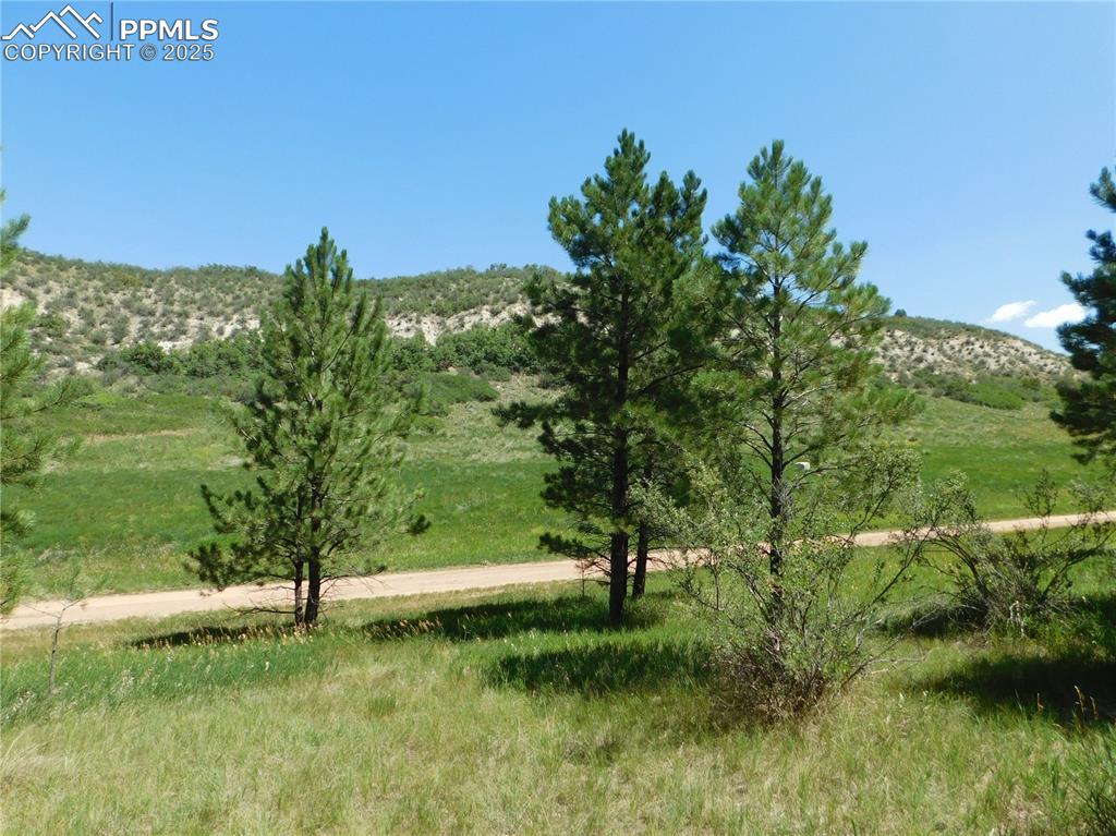 Image 30 of 39: Other