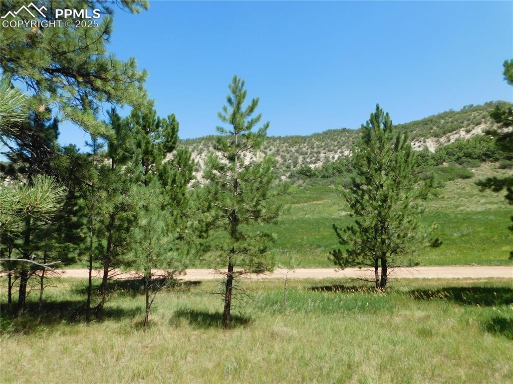 Image 31 of 39: View