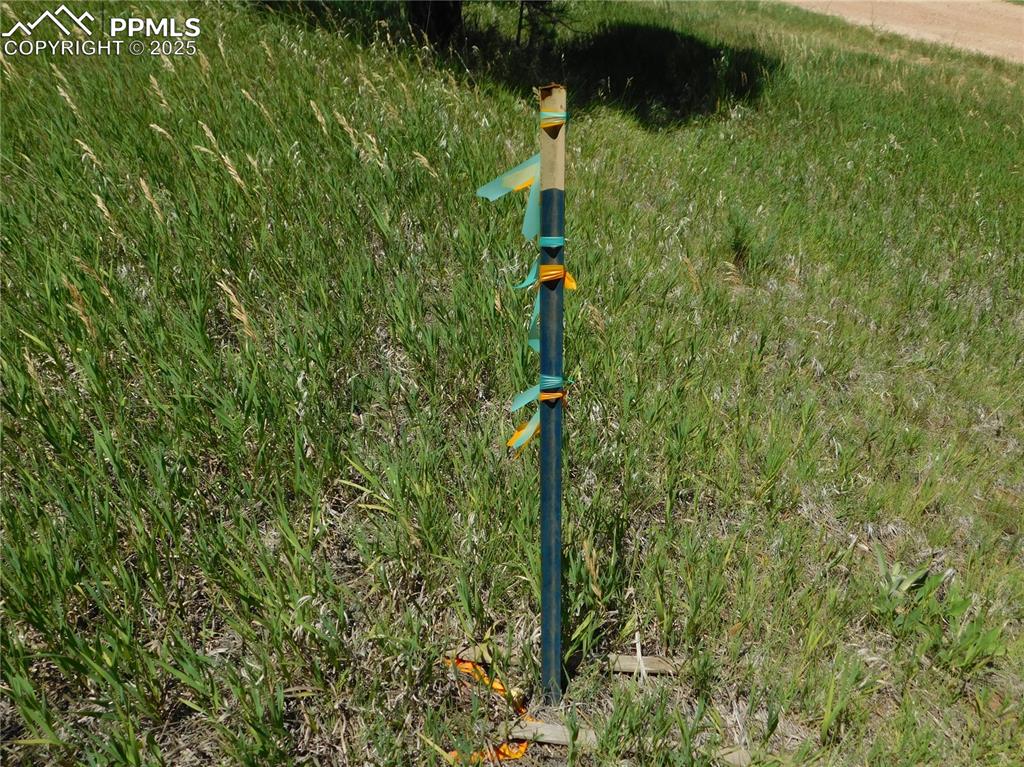 Image 34 of 39: Other