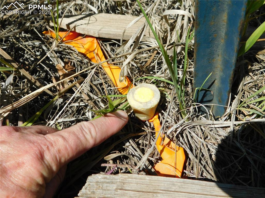 Image 35 of 39: Other