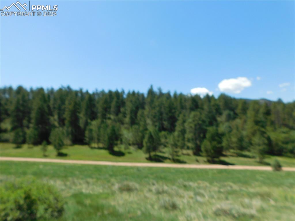 Image 7 of 39: Other