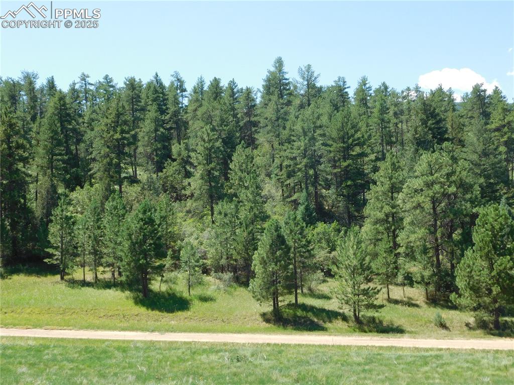 Image 8 of 39: Other