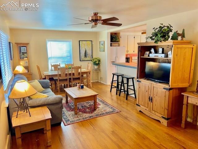 Image 10 of 31: Living Room