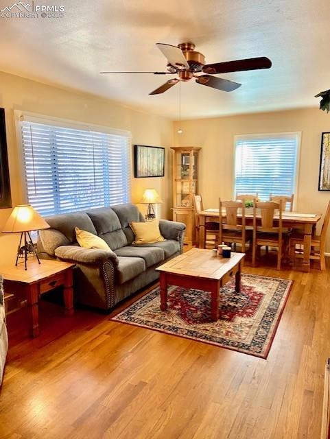 Image 11 of 31: Living Room