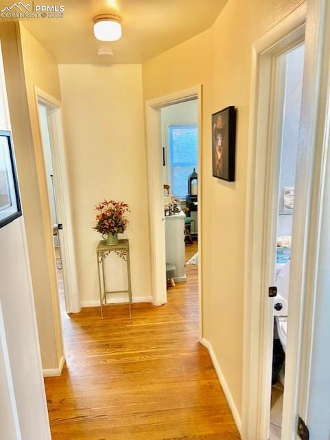 Image 26 of 31: Other