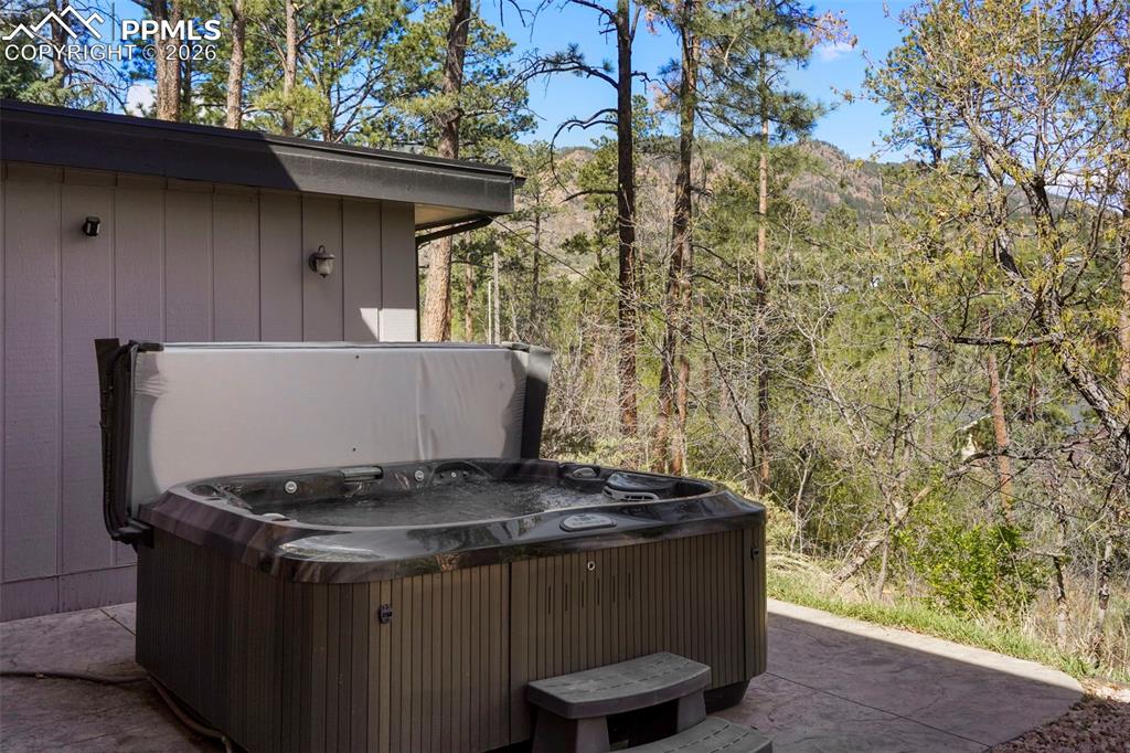 Image 36 of 46: No Description Available