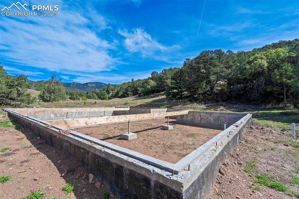 Image 14 of 50: Yard