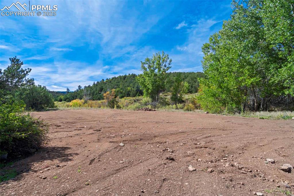 Image 16 of 50: Other