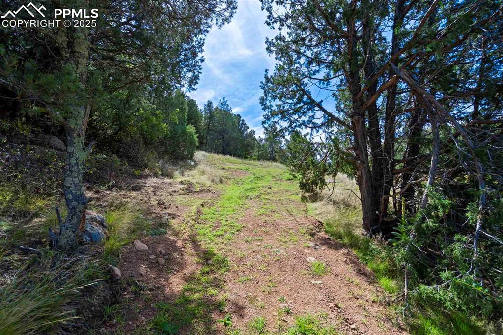 Image 19 of 50: Other