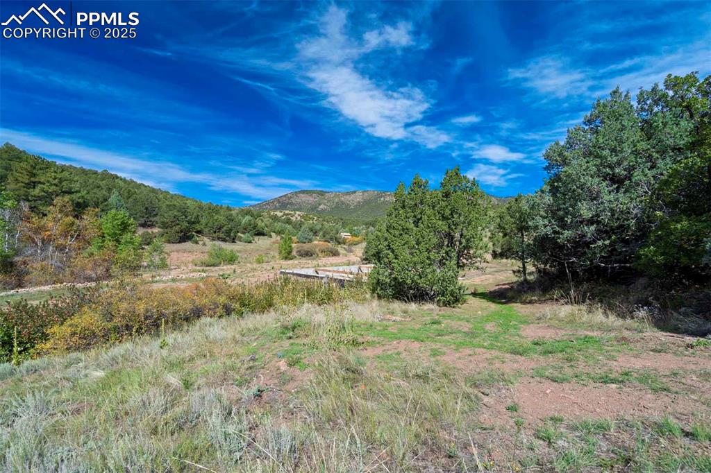 Image 20 of 50: View