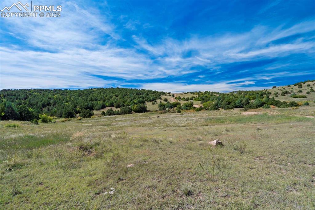 Image 24 of 50: View