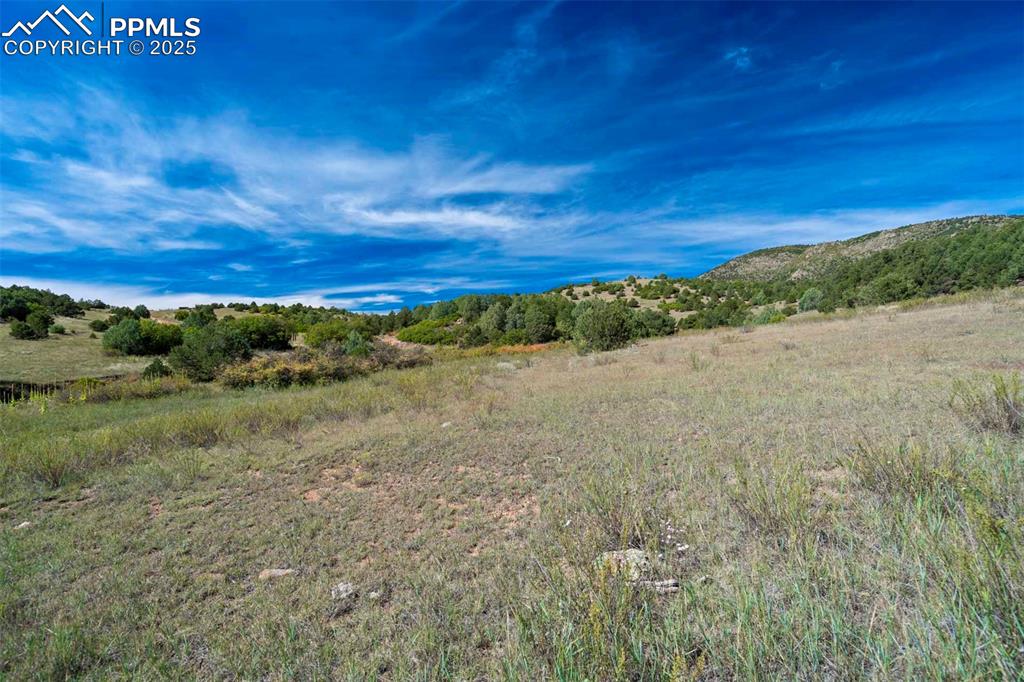 Image 26 of 50: View