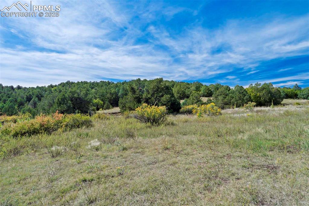 Image 27 of 50: Other