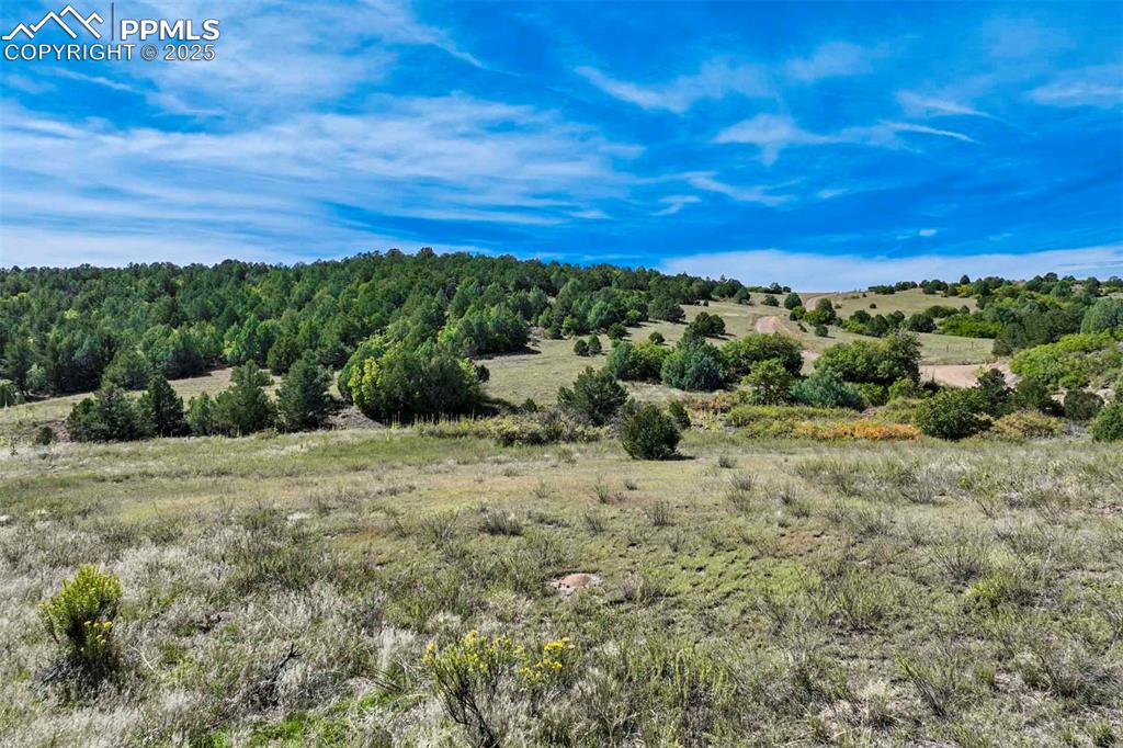 Image 39 of 50: Other