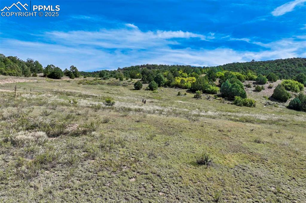 Image 40 of 50: Other