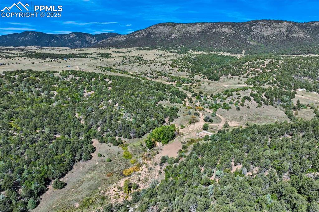 Image 43 of 50: View