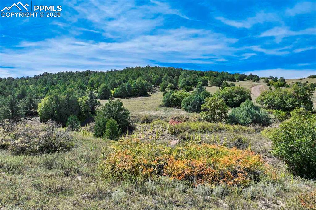 Image 7 of 50: Other