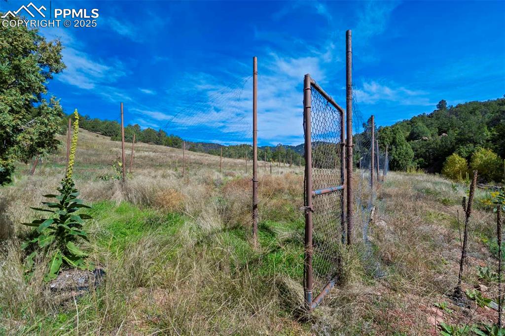 Image 8 of 50: Other