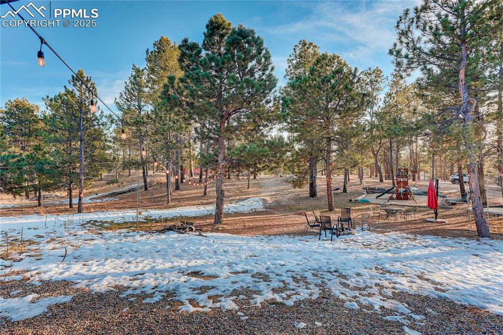 Image 33 of 50: Property comes with a powered shed: Versatile 120 Sq Ft outbuilding with el