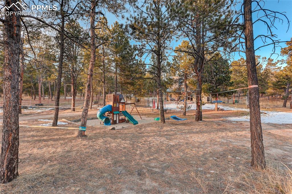 Image 34 of 50: No Description Available