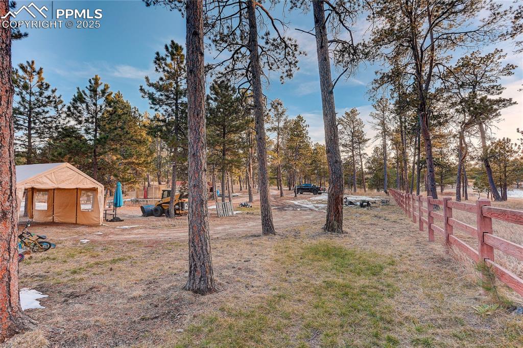 Image 35 of 50: No Description Available