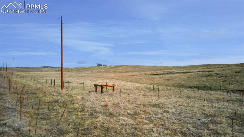 Image 9 of 14: Yard