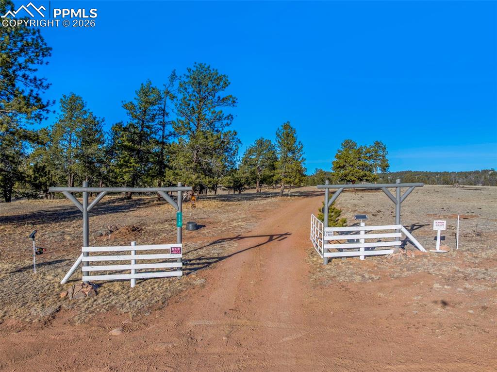 Image 31 of 39: Yard