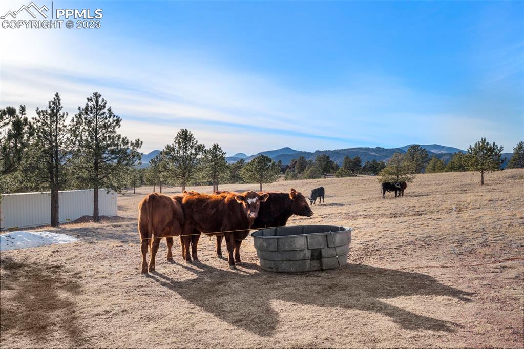 Image 33 of 39: Other