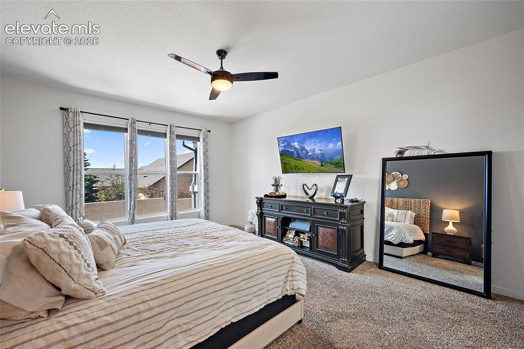 Image 17 of 46: Room featuring multiple windows, textured carpeting, a ceiling fan with int